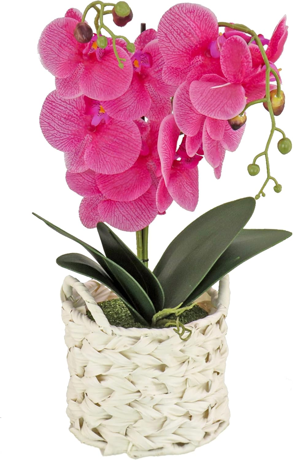 National Tree Company Artificial Orchid Bouquet with Basket