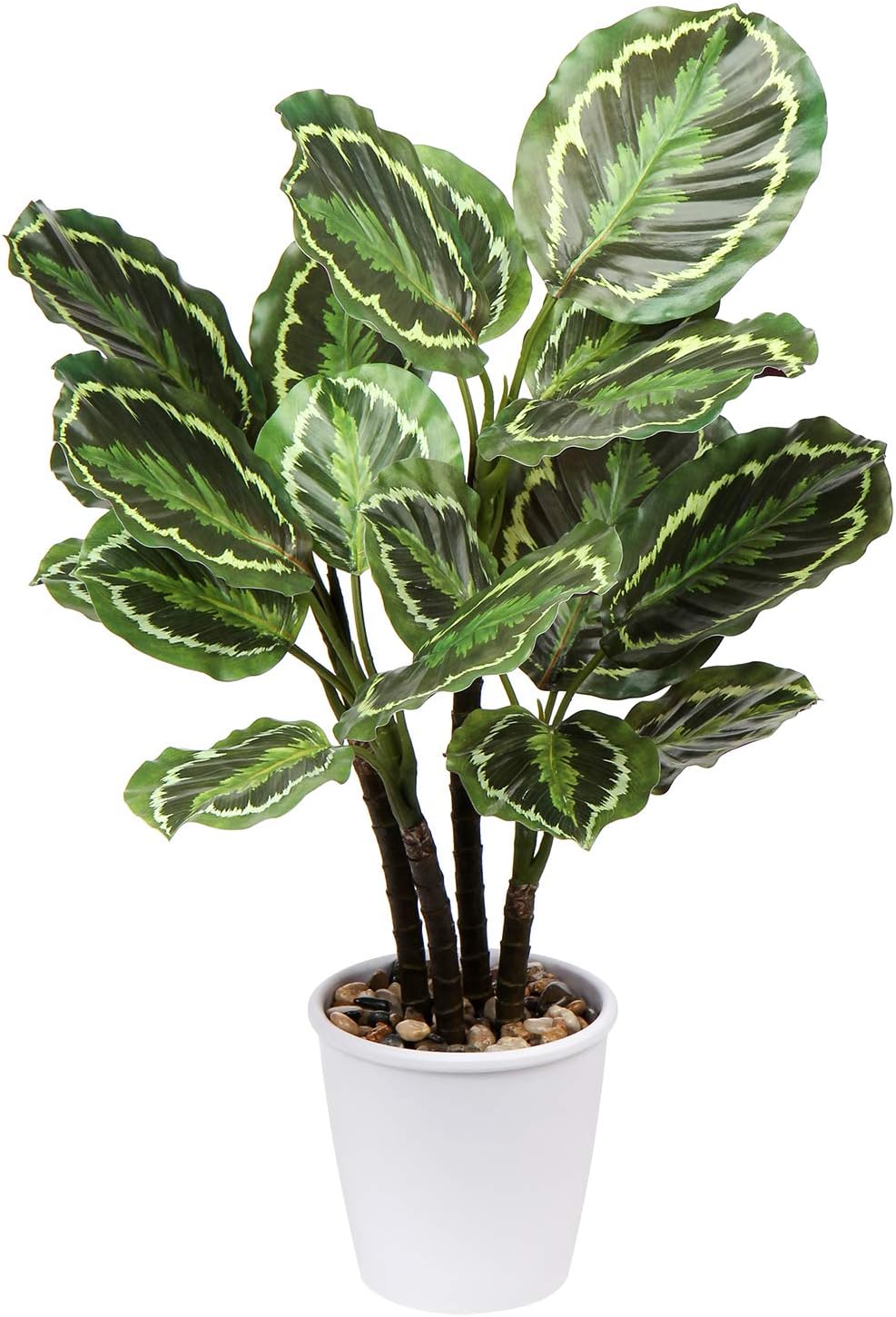 Briful 248 In Artificial Calathea Plant