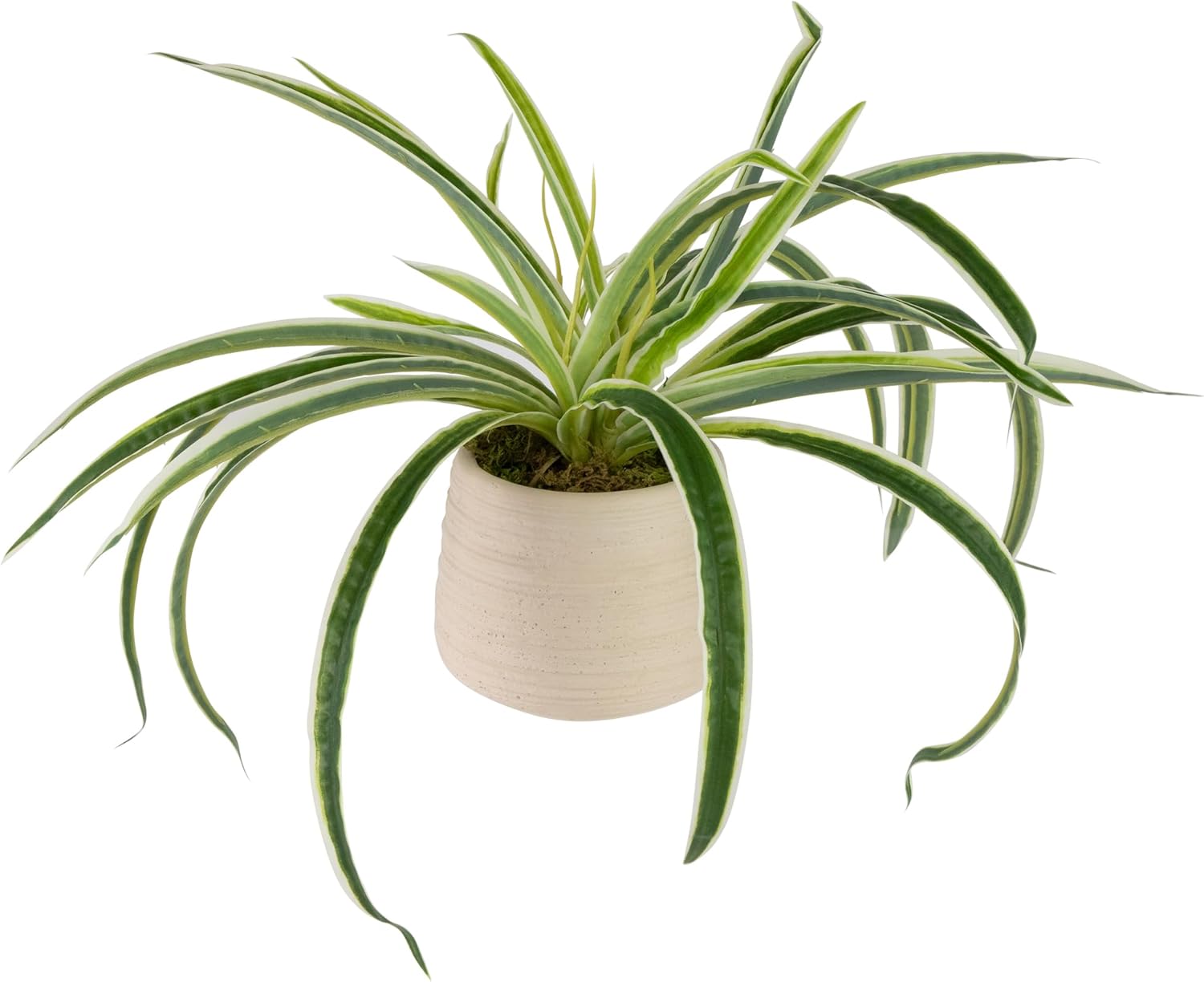 Northlight Artificial Spider Plant in Beige Ceramic Pot 20 Inch