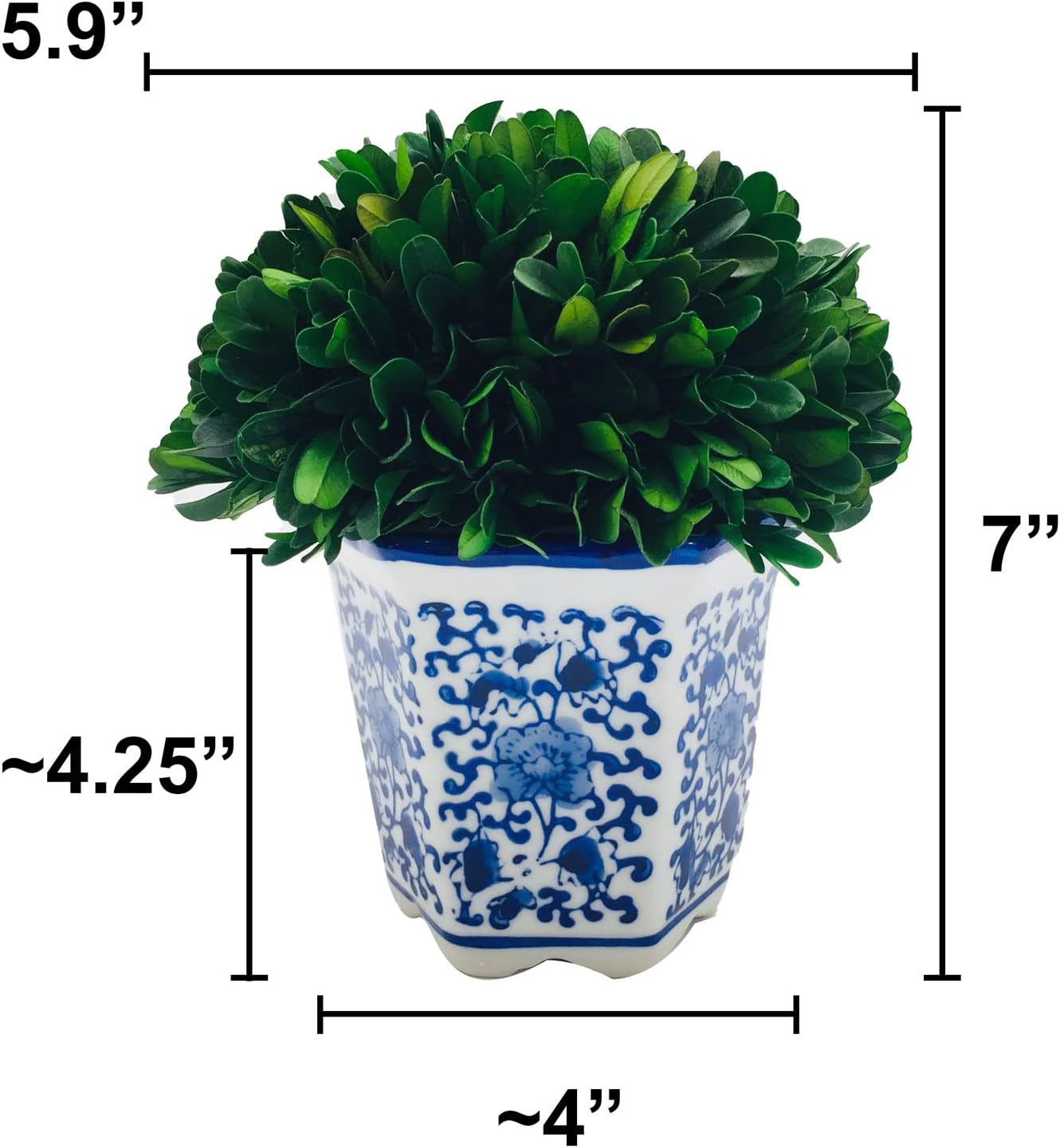 Galt International 7 Inch Preserved Boxwood Ball in Blue White China Pot