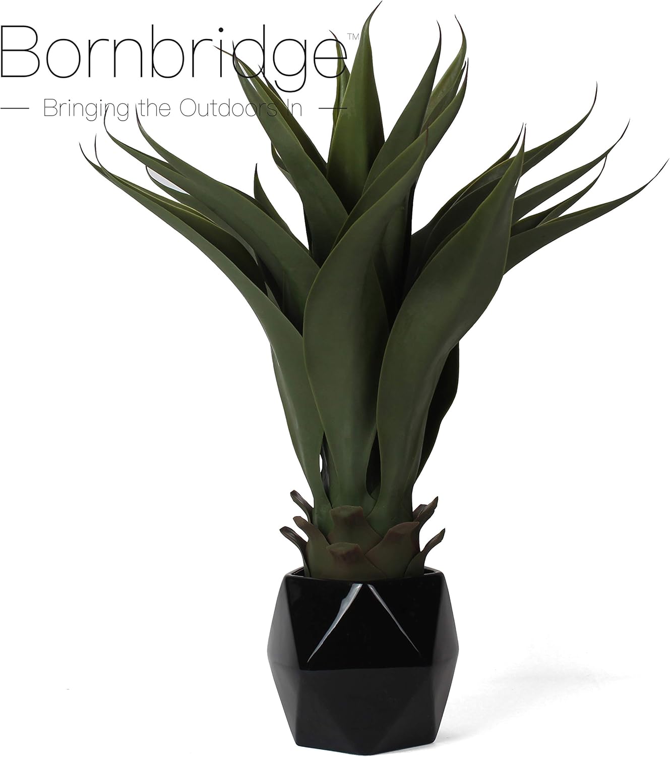 Bornbridge Artificial Agave Plant with Black Ceramic Planter