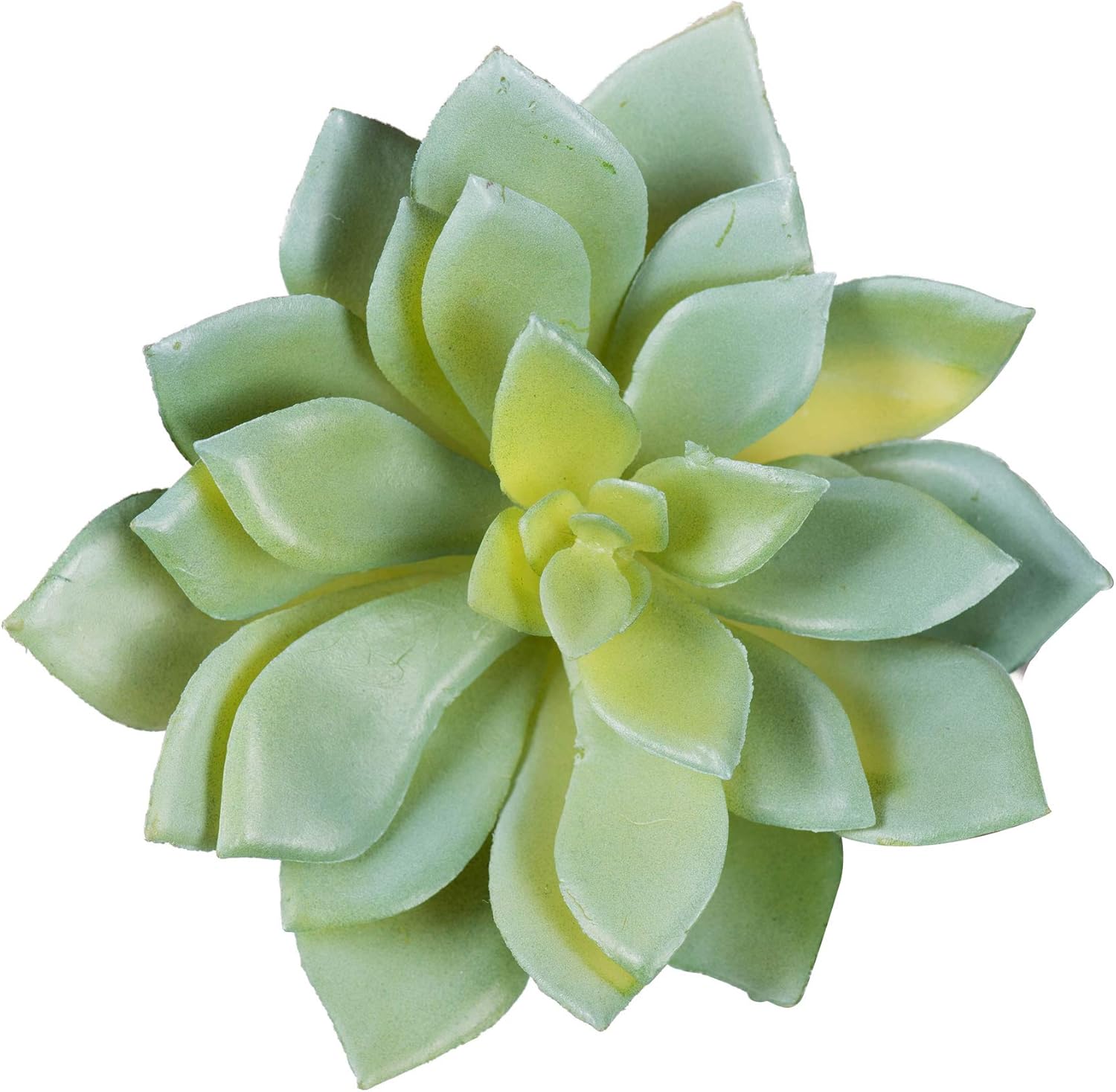 Vickerman Everyday 4 Inch Artificial Succulent
