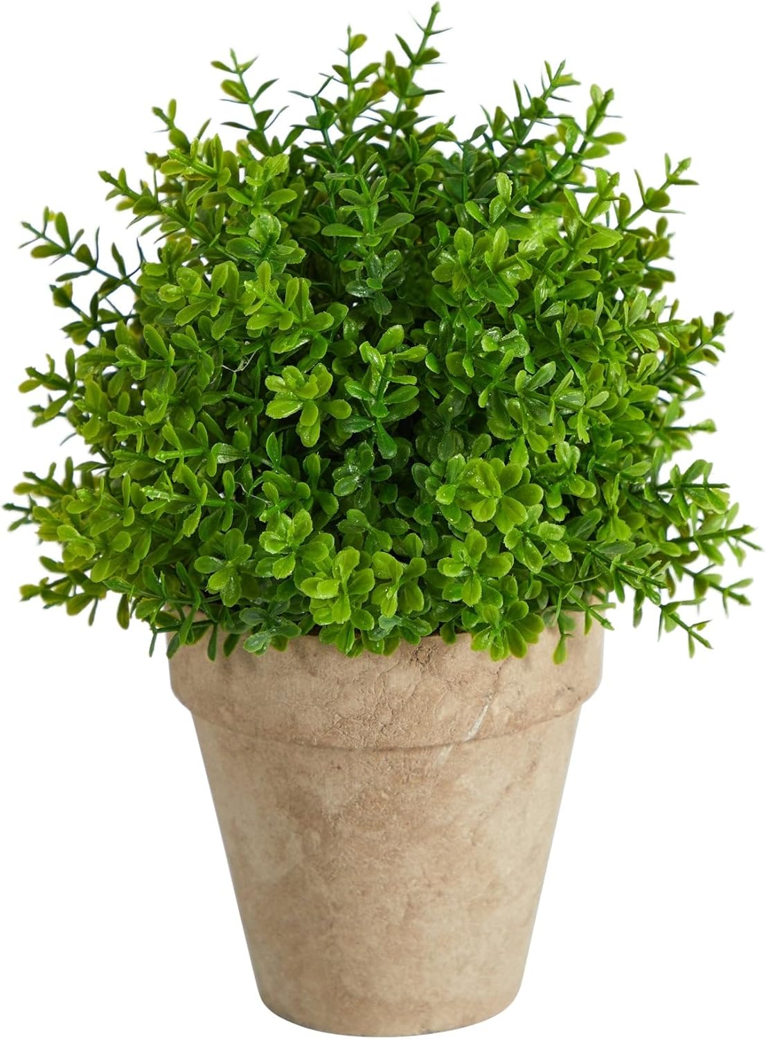 Nearly Natural 8in Boxwood Artificial Plant with Decorative Planter