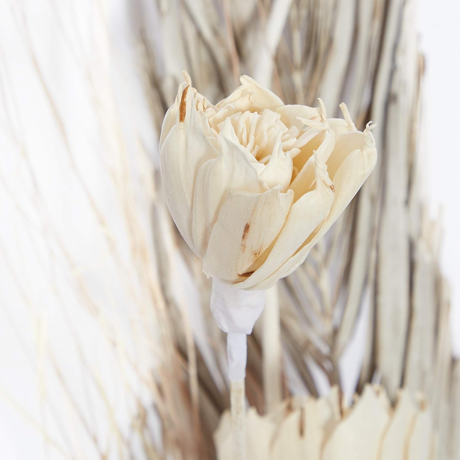 Deco 79 Dried Pigeon Pea Tall Sticks Natural Foliage Set of 2