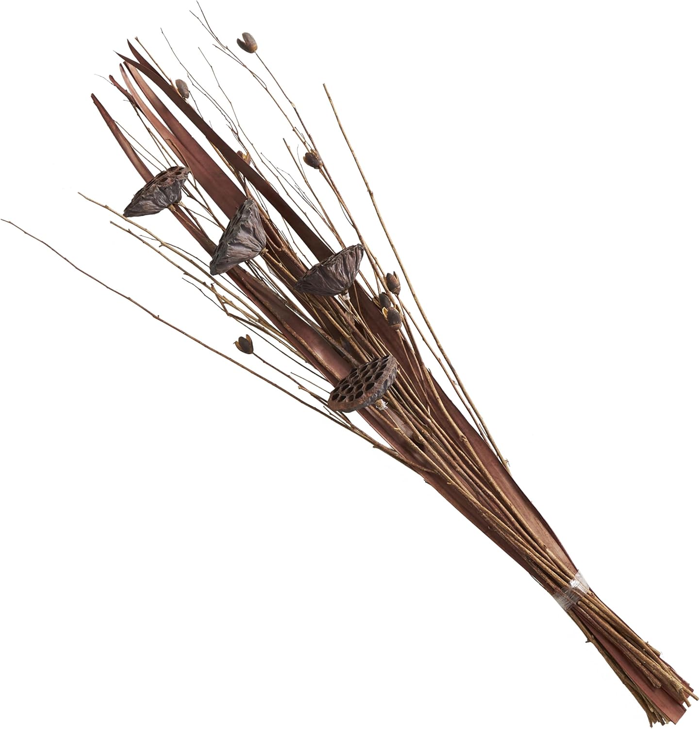 Deco 79 Dried Lotus Flower Decor