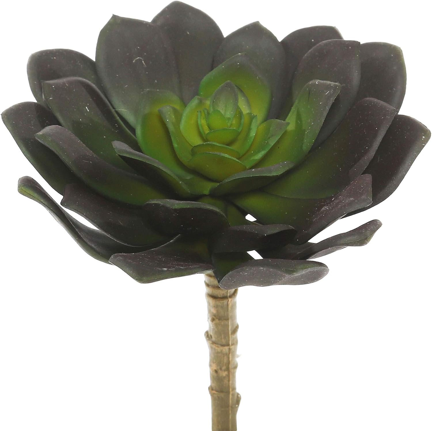Vickerman Artificial Echeveria Succulent Picks Set of 3