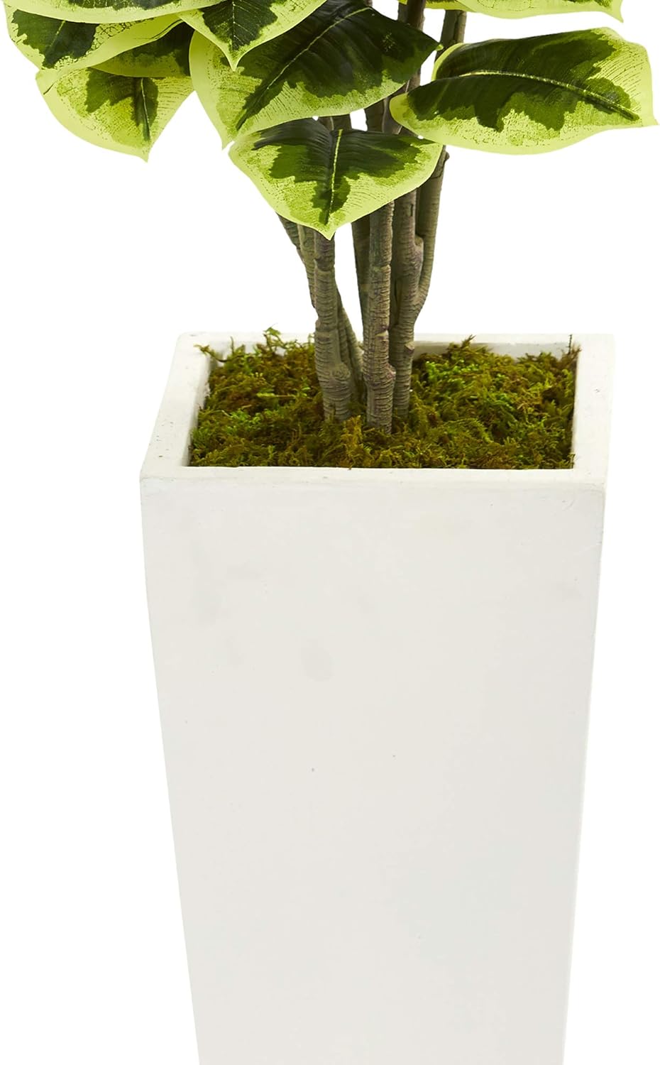 Nearly Natural Variegated Rubber Leaf Plant in White Tower Vase