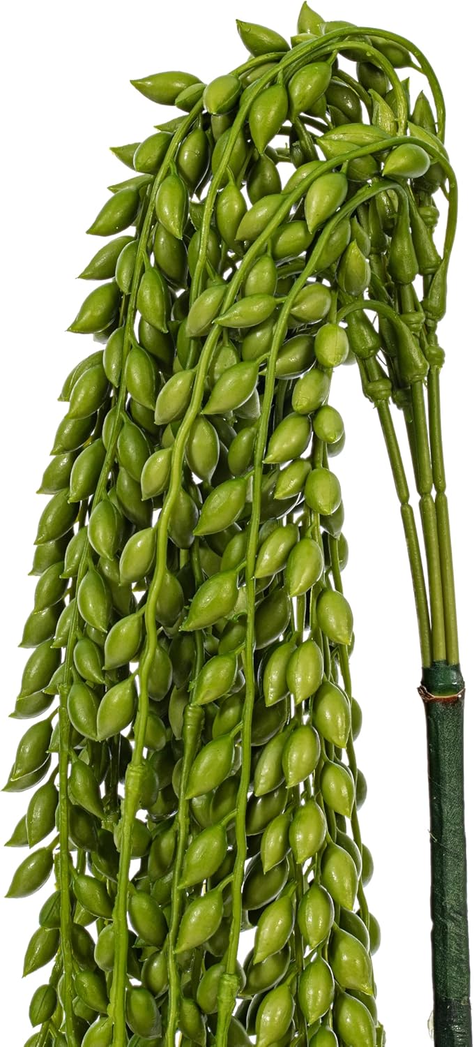 Vickerman 39 Inch Indoor Artificial Green Senecio Bush - Durable and Maintenance Free