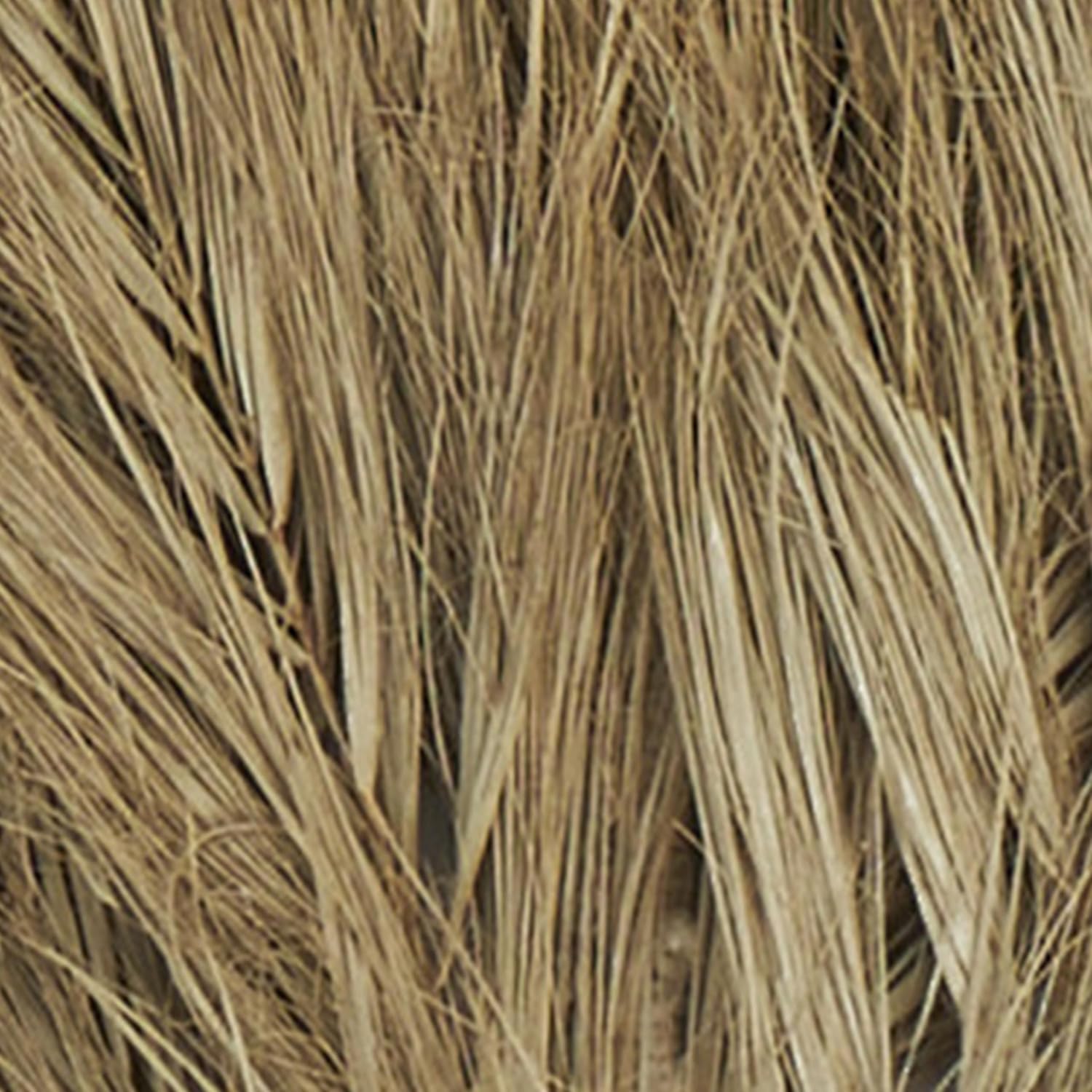 Deco 79 Dried Palm Leaf Decor Natural Foliage