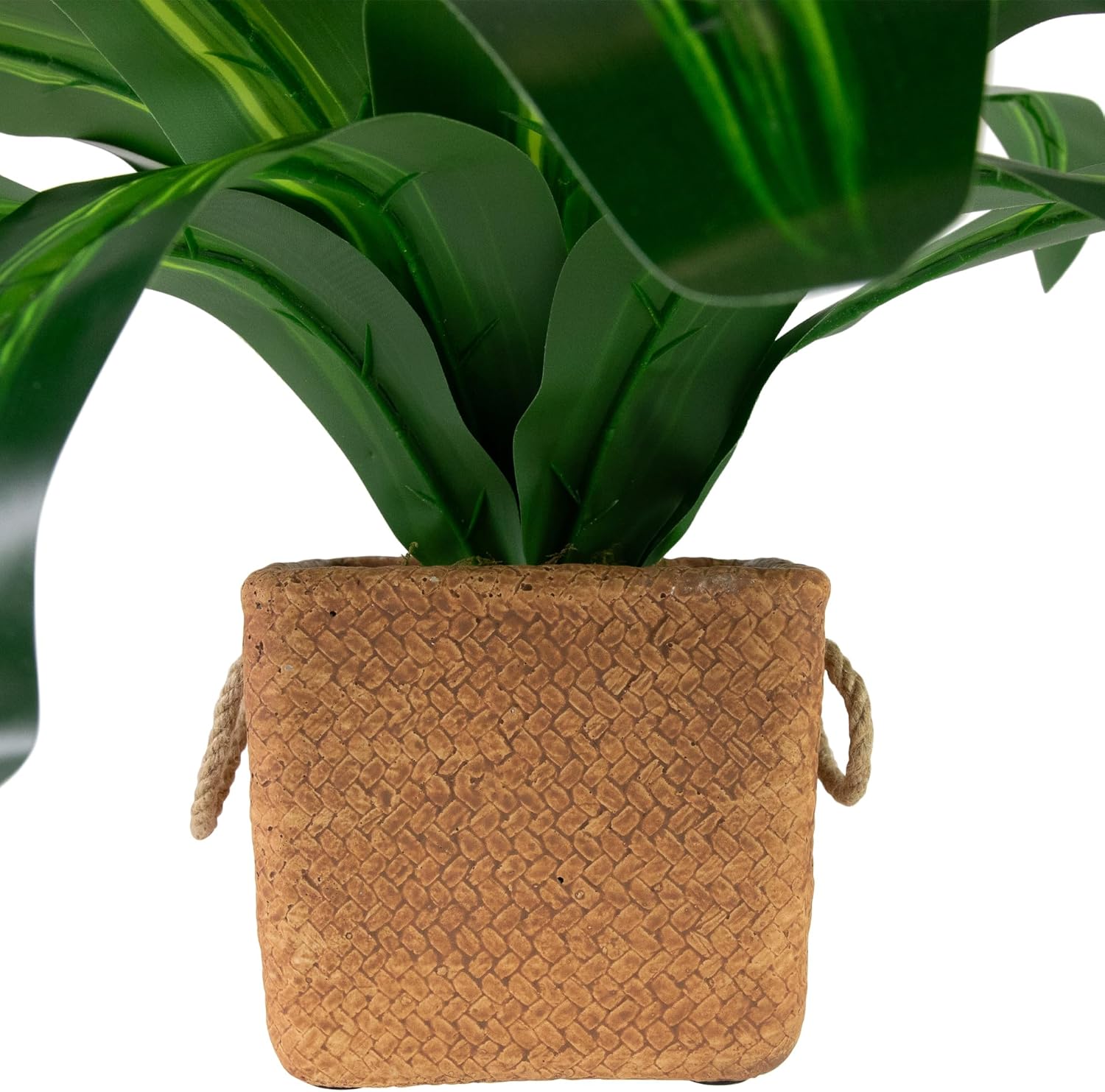 Northlight Artificial Dracaena Plant in Square Rattan Ceramic Pot - 27 Inch