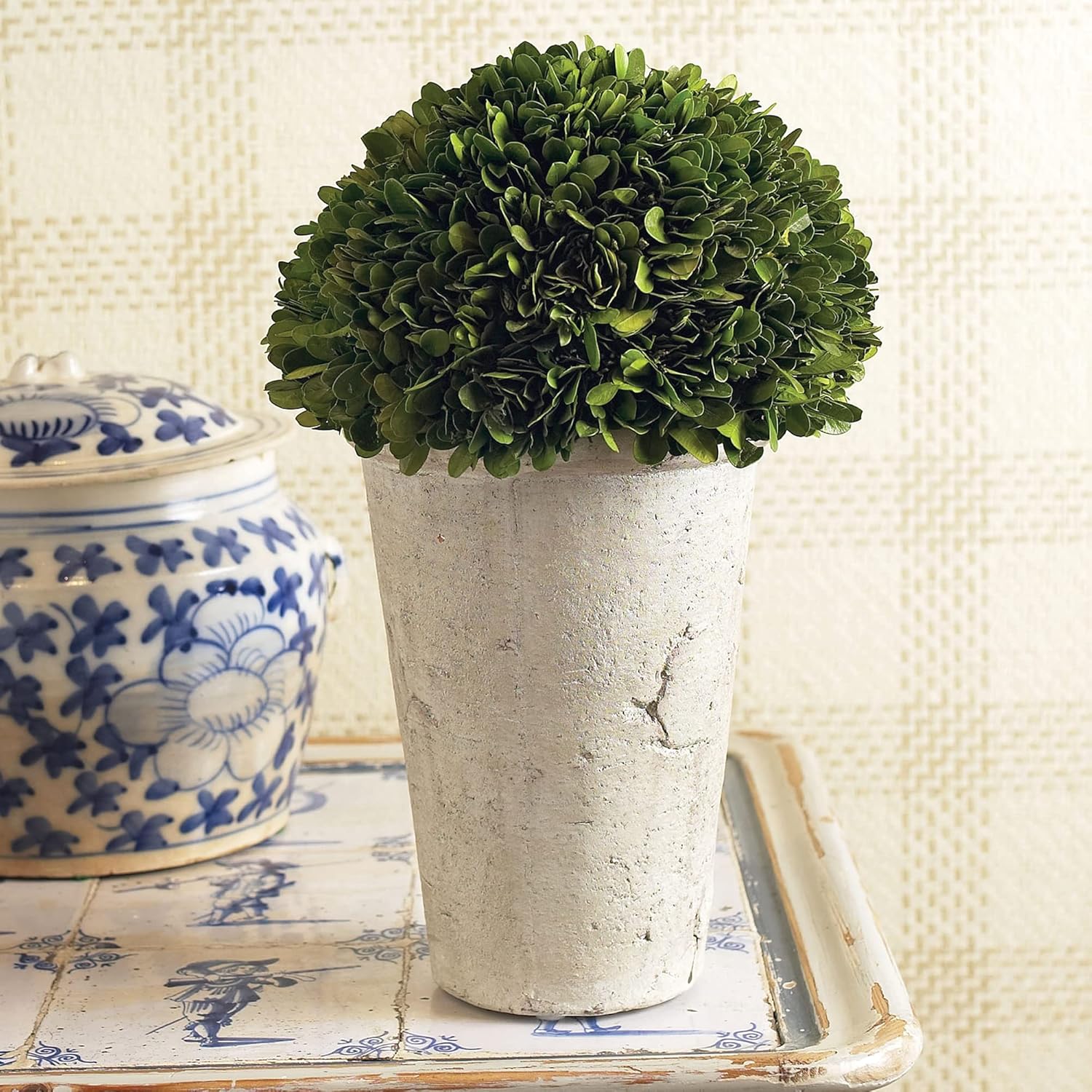 Traditional Garden Preserved Boxwood Three Quarter Ball in Tom Pot Green 1