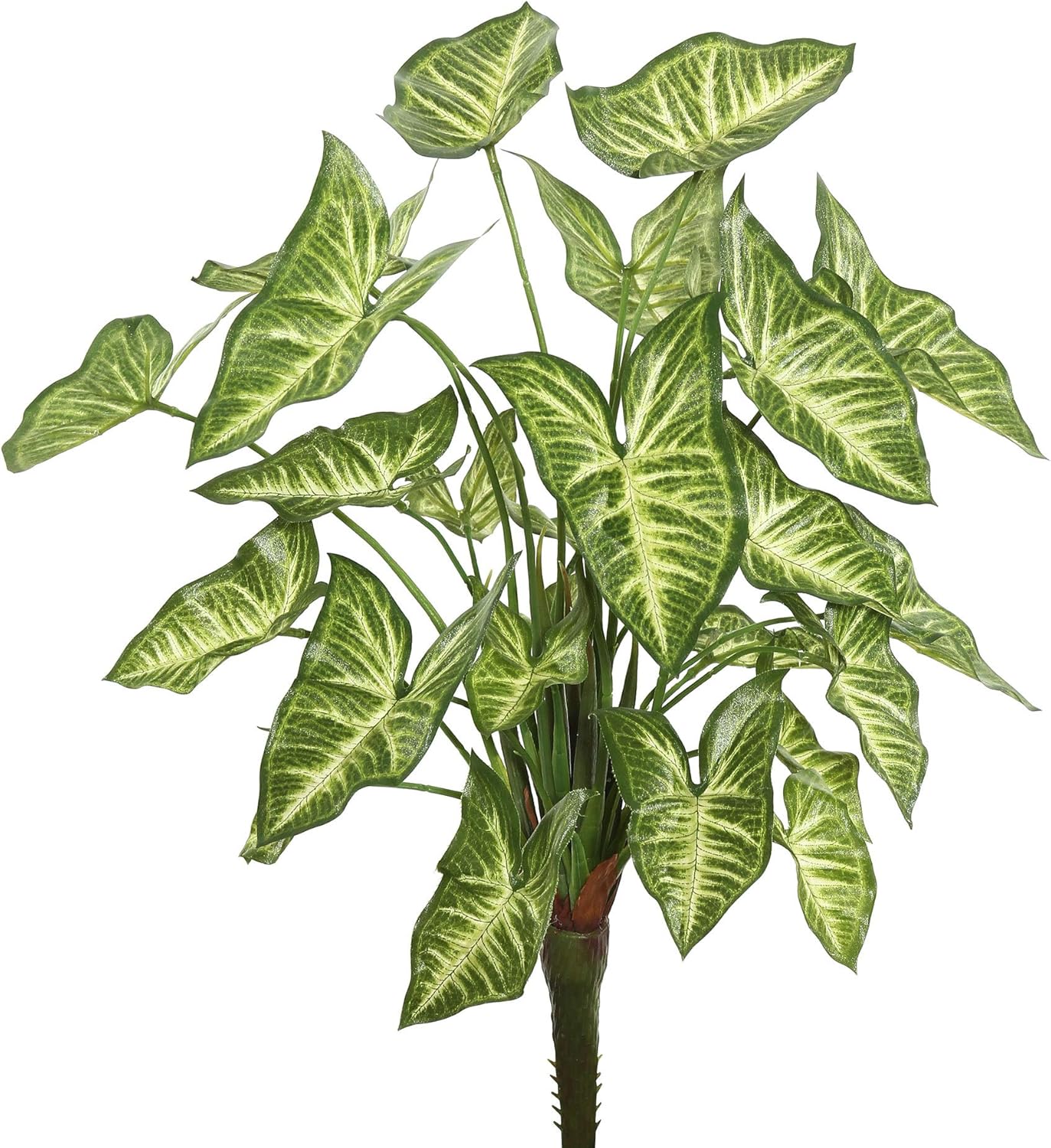 Vickerman 22 Artificial Green Syngonium Bush