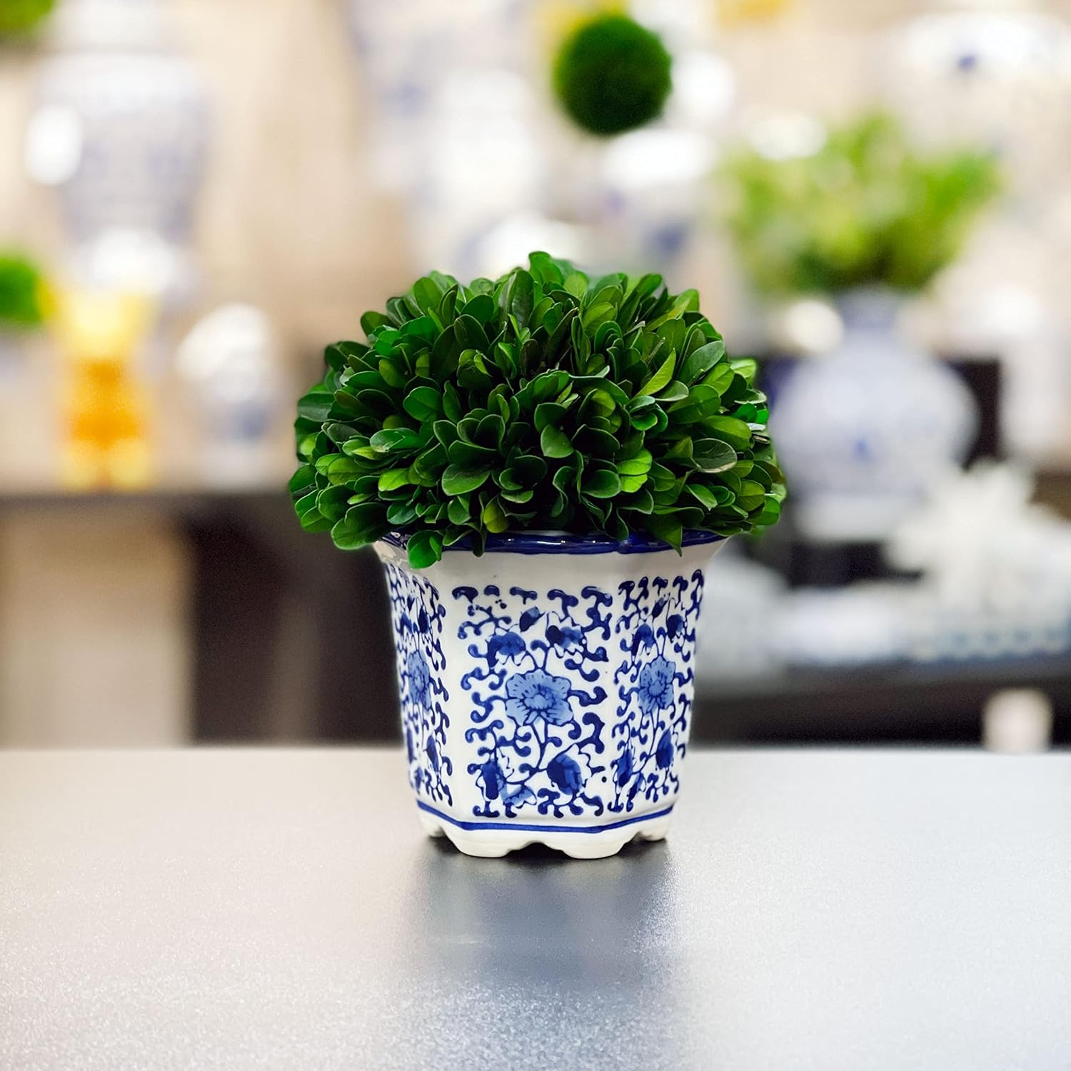 Galt International 7 Inch Preserved Boxwood Ball in Blue White China Pot
