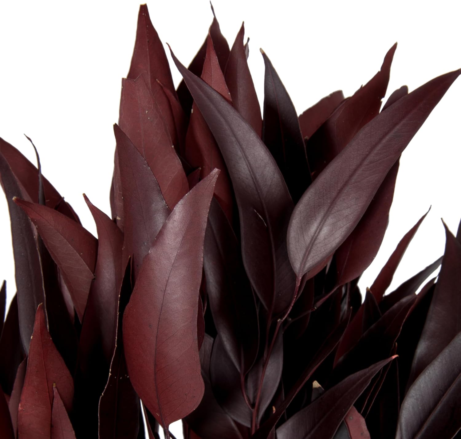 Vickerman 18 In Red Weeping Willow Eucalyptus Bundle