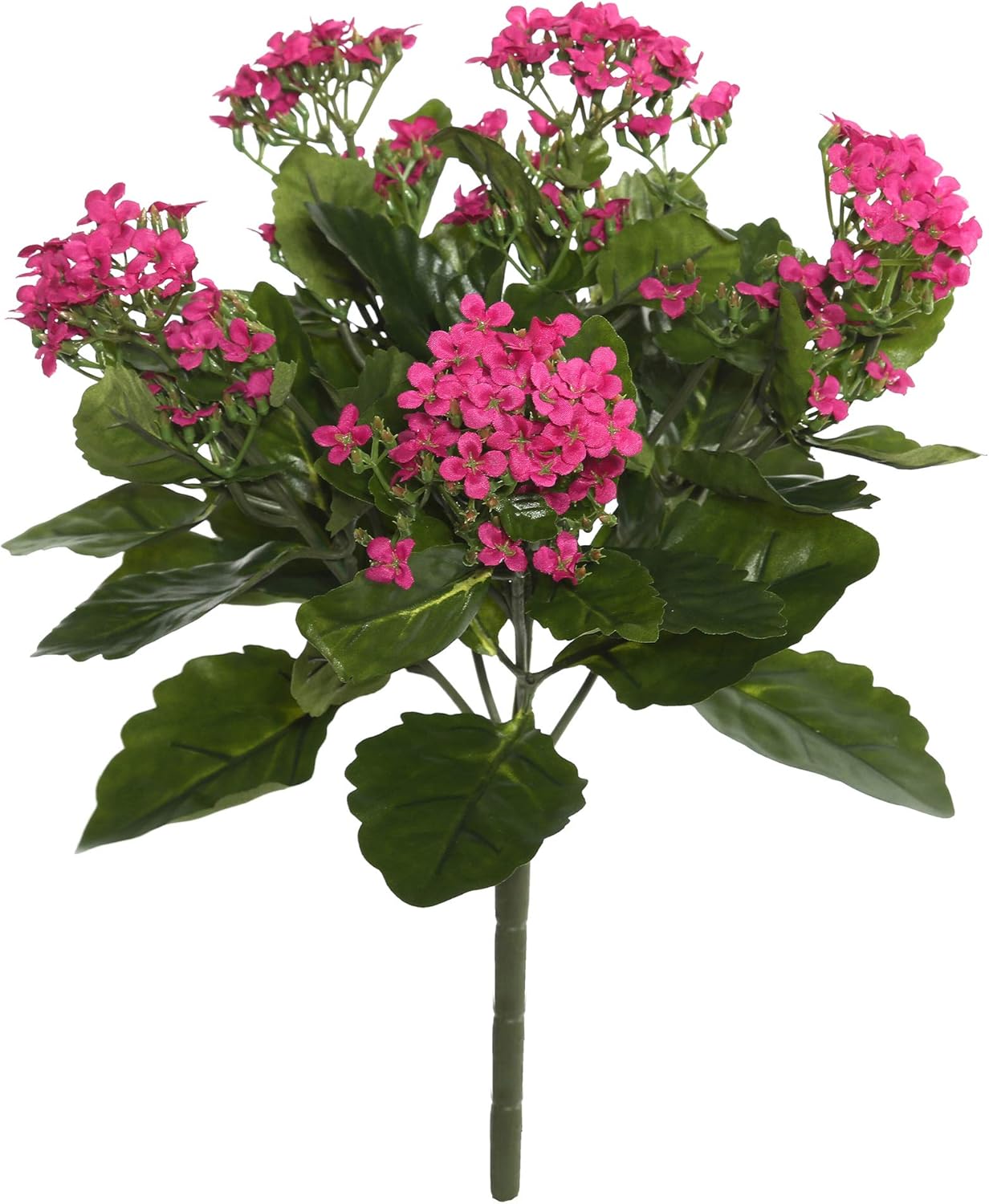 Vickerman Artificial Hot Pink Kanachoe Bush 1725 In