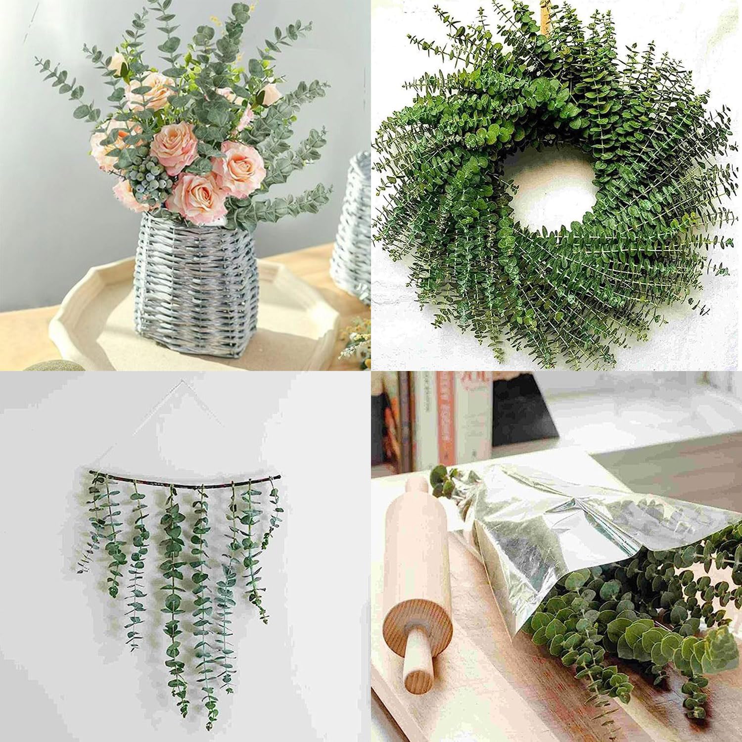 EOBTAIN Dried Eucalyptus Stems for Decor