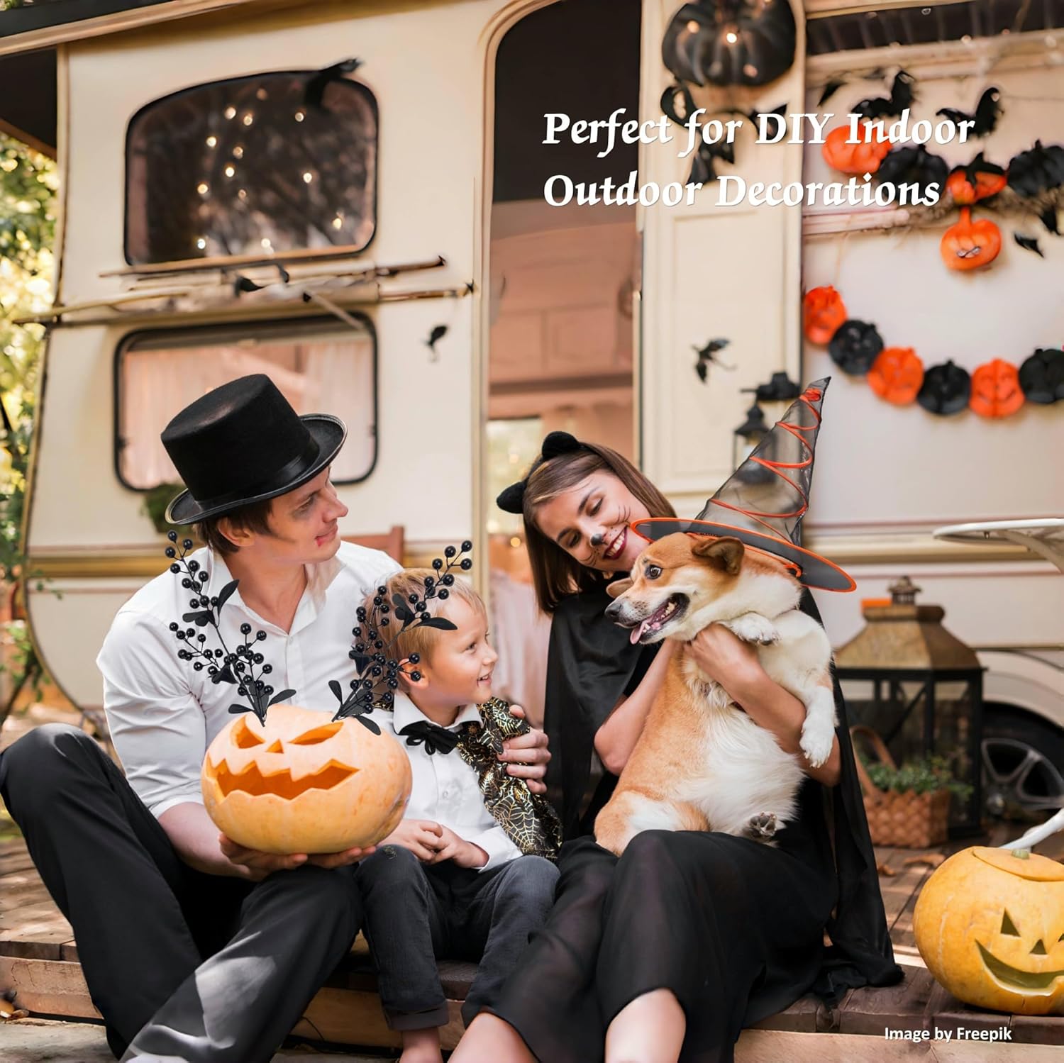 10 Pcs Black Berry Stems for Halloween Decor