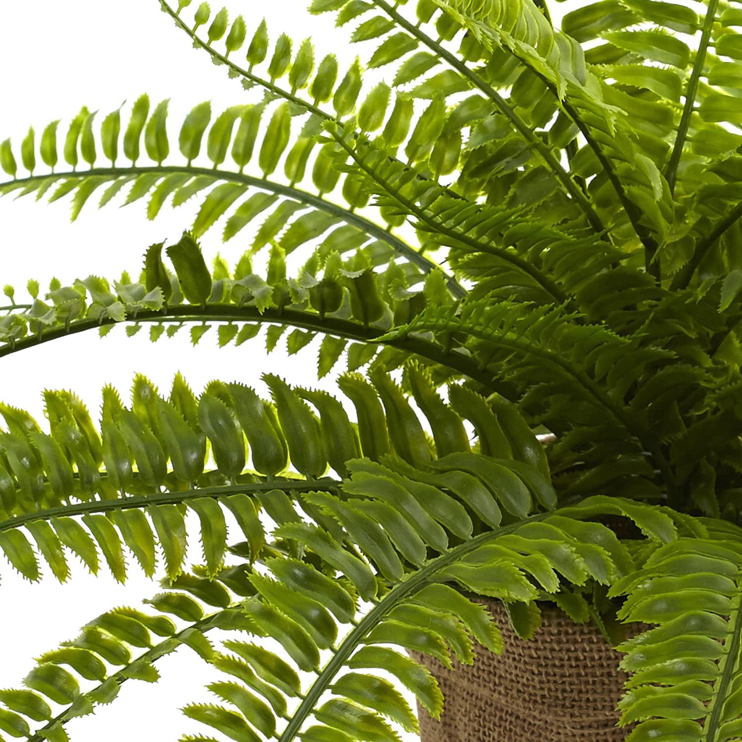 Nearly Natural Boston Fern with Burlap Planter Set of 2