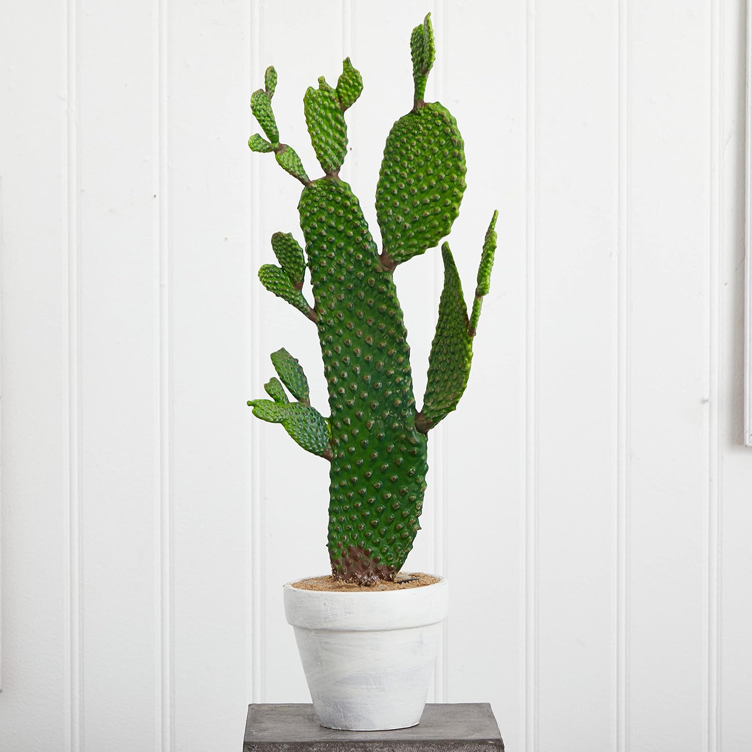 Nearly Natural 27in Cactus Artificial Plant