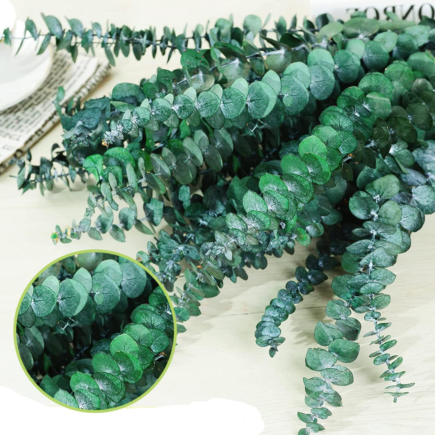 EOBTAIN Dried Eucalyptus Stems for Decor