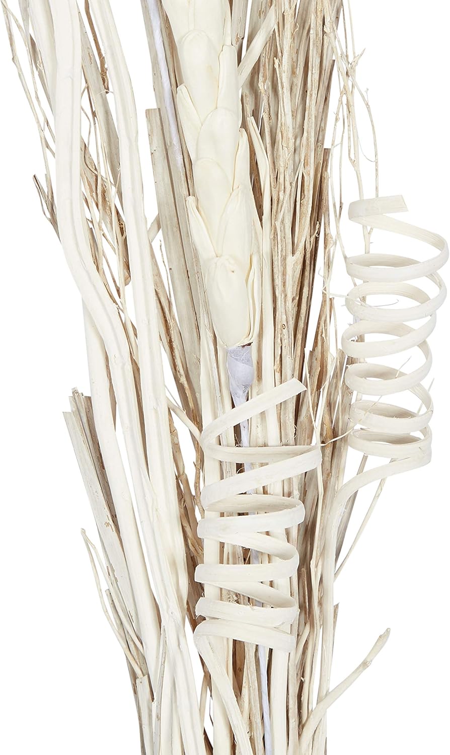 Deco 79 Dried Pigeon Pea Tall Sticks Natural Foliage Set of 2