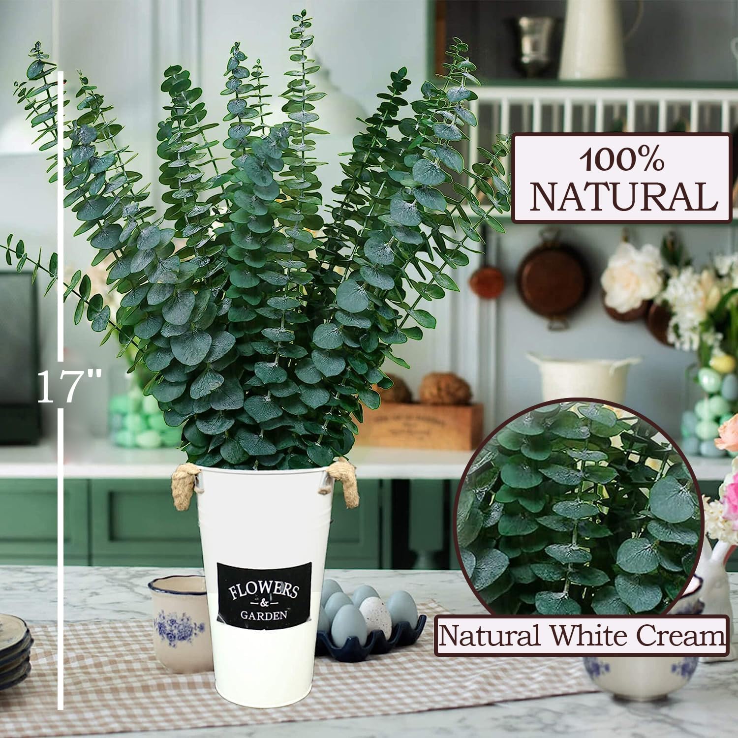 EOBTAIN Dried Eucalyptus Stems for Decor