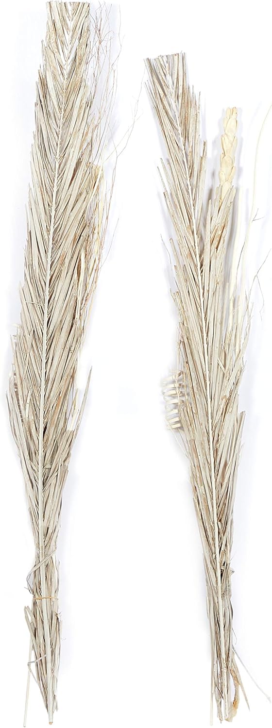 Deco 79 Dried Pigeon Pea Tall Sticks Natural Foliage Set of 2