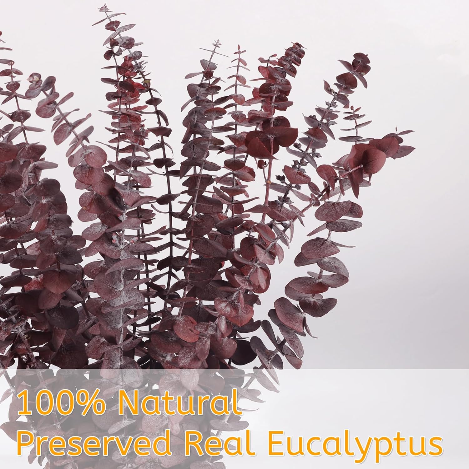 HIAGROW Dried Eucalyptus Stems Red 20pcs for Vase
