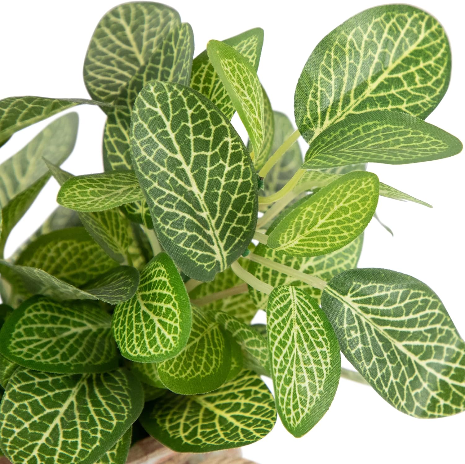 Northlight Artificial Spring Foliage in 8 Ceramic Pot