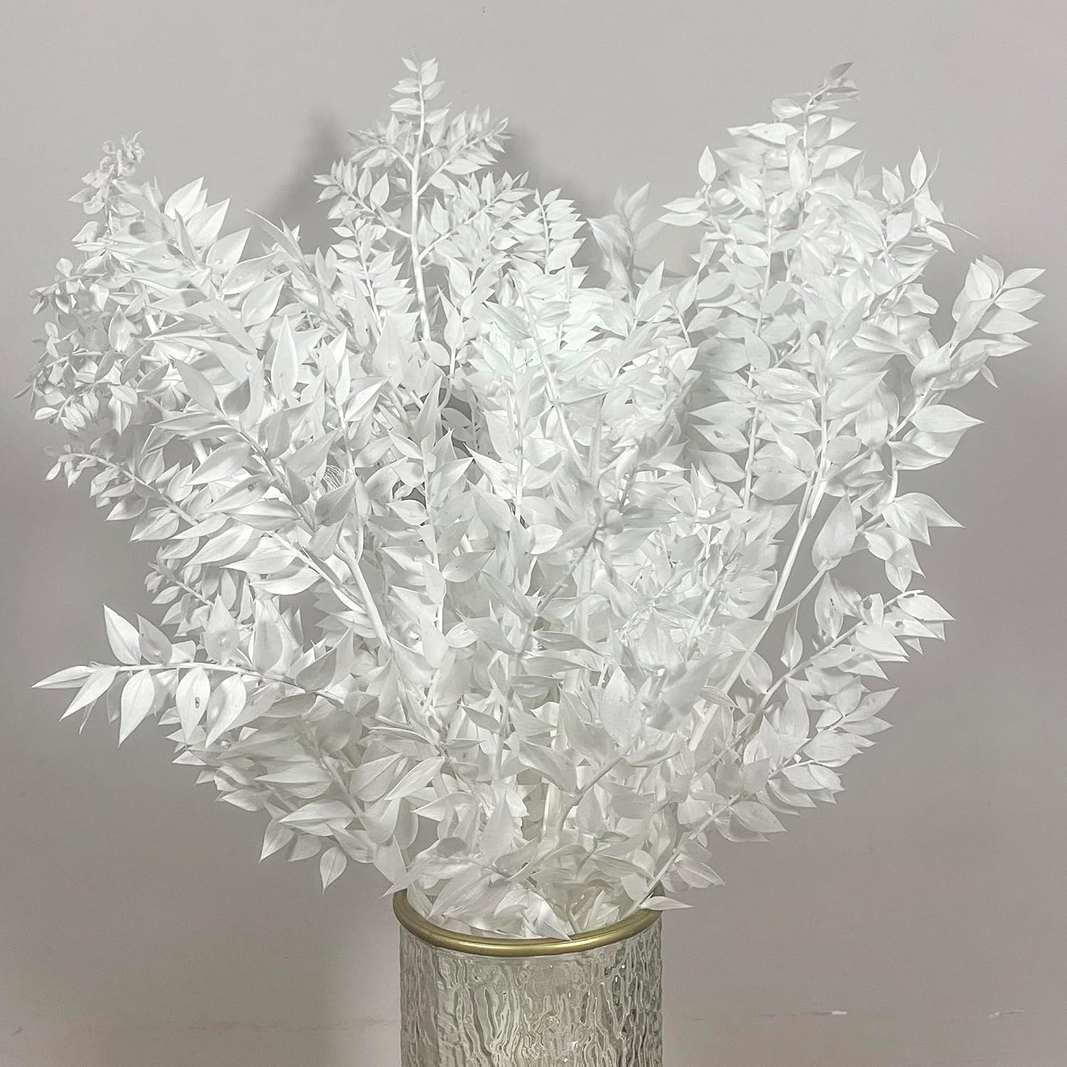 5Pcs Dried White Eucalyptus Ruscus for Wedding Vase Decor