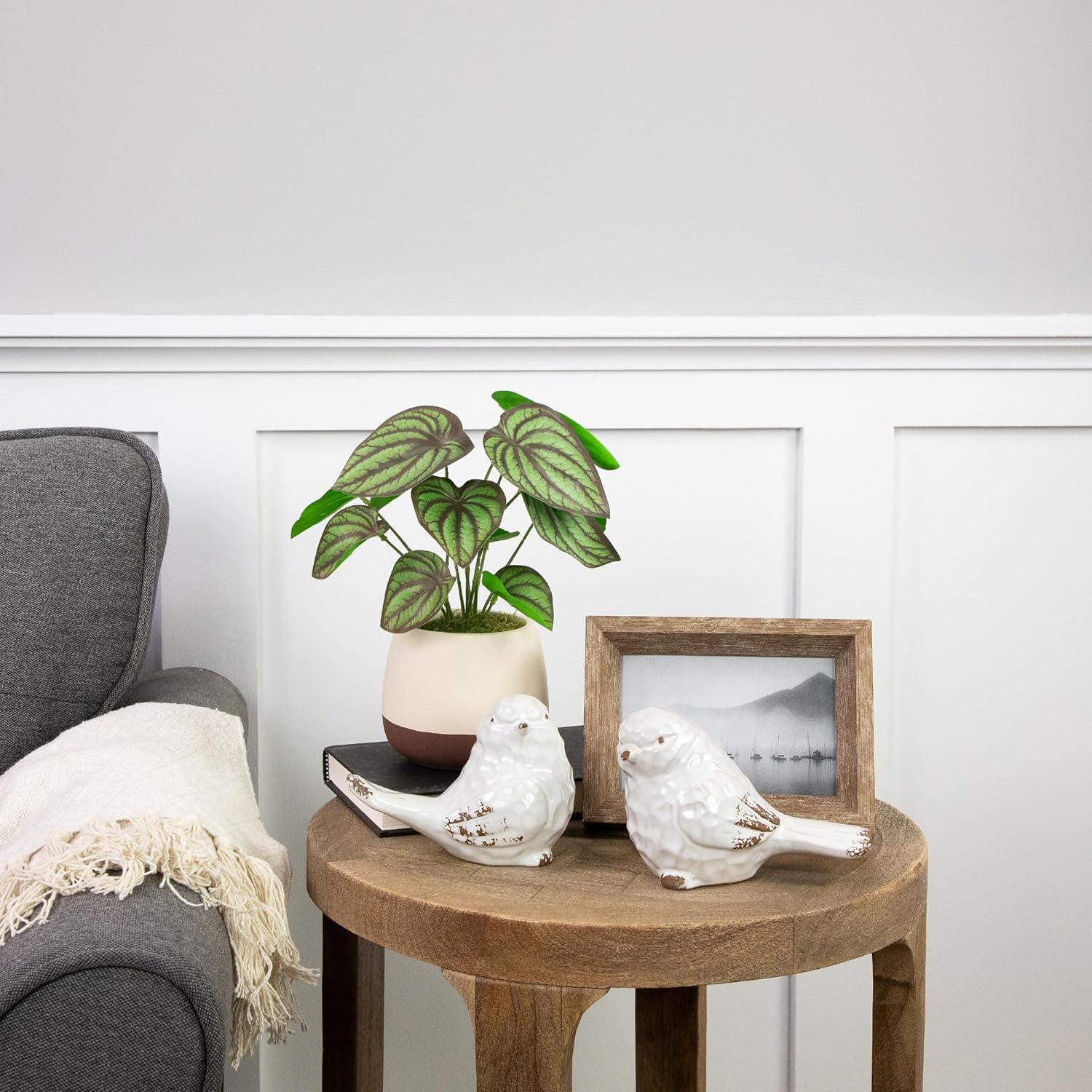 Northlight Artificial Peperomia Plant in Two-Tone Ceramic Pot
