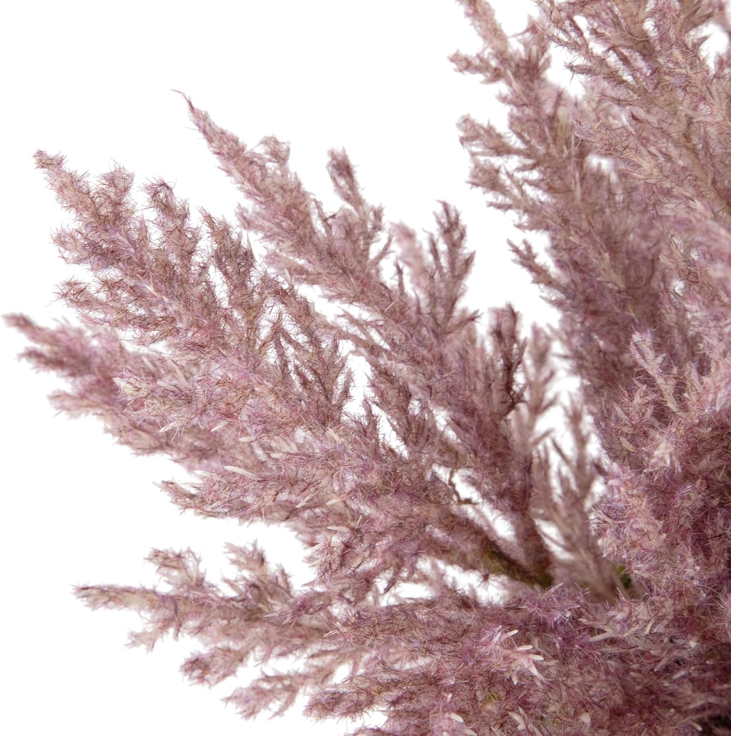 Northlight Artificial Astilbe Plant in Ceramic Pot - Purple 12 Inch