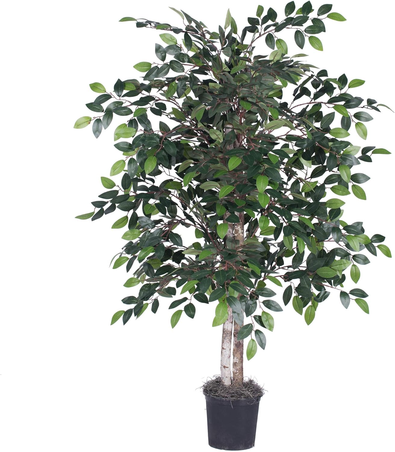 Vickerman 4 Artificial Ficus Bush with Black Pot