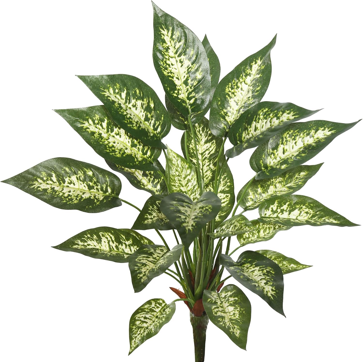 Vickerman 22 Inch Artificial Green and White Dieffenbachia Bush