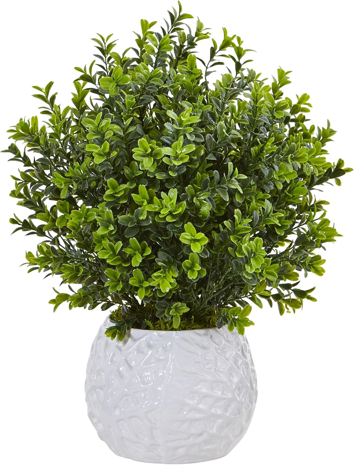 Nearly Natural Boxwood Evergreen Artificial Plant in White Vase
