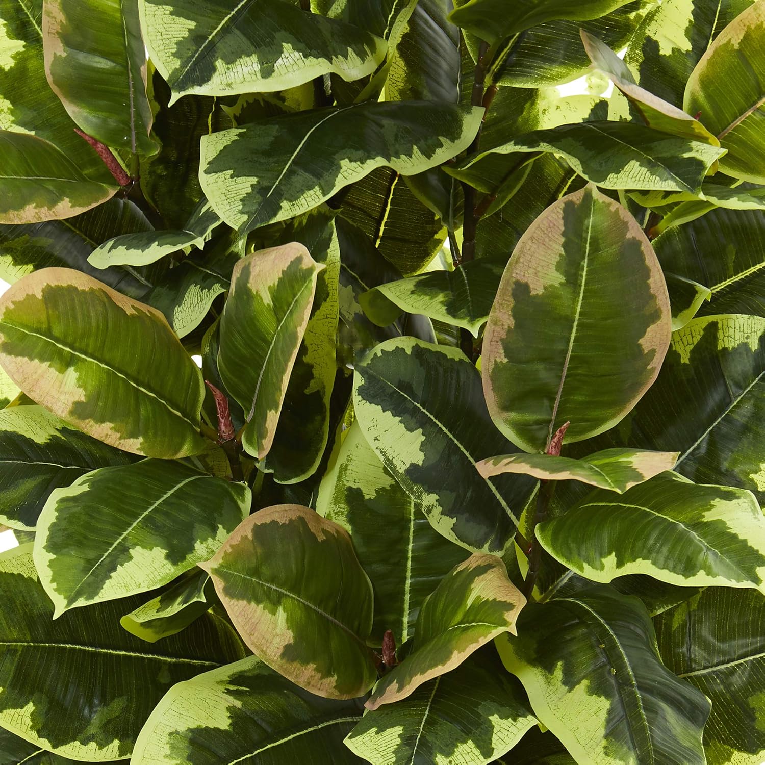 Nearly Natural Variegated Rubber Leaf Plant in White Tower Vase