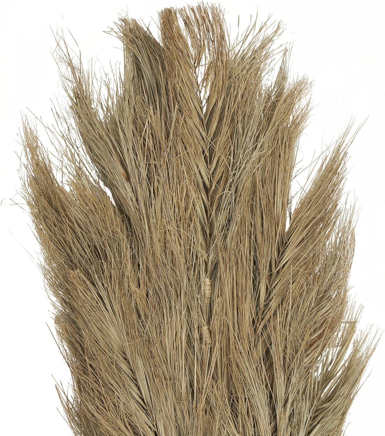 Deco 79 Dried Palm Leaf Decor Natural Foliage