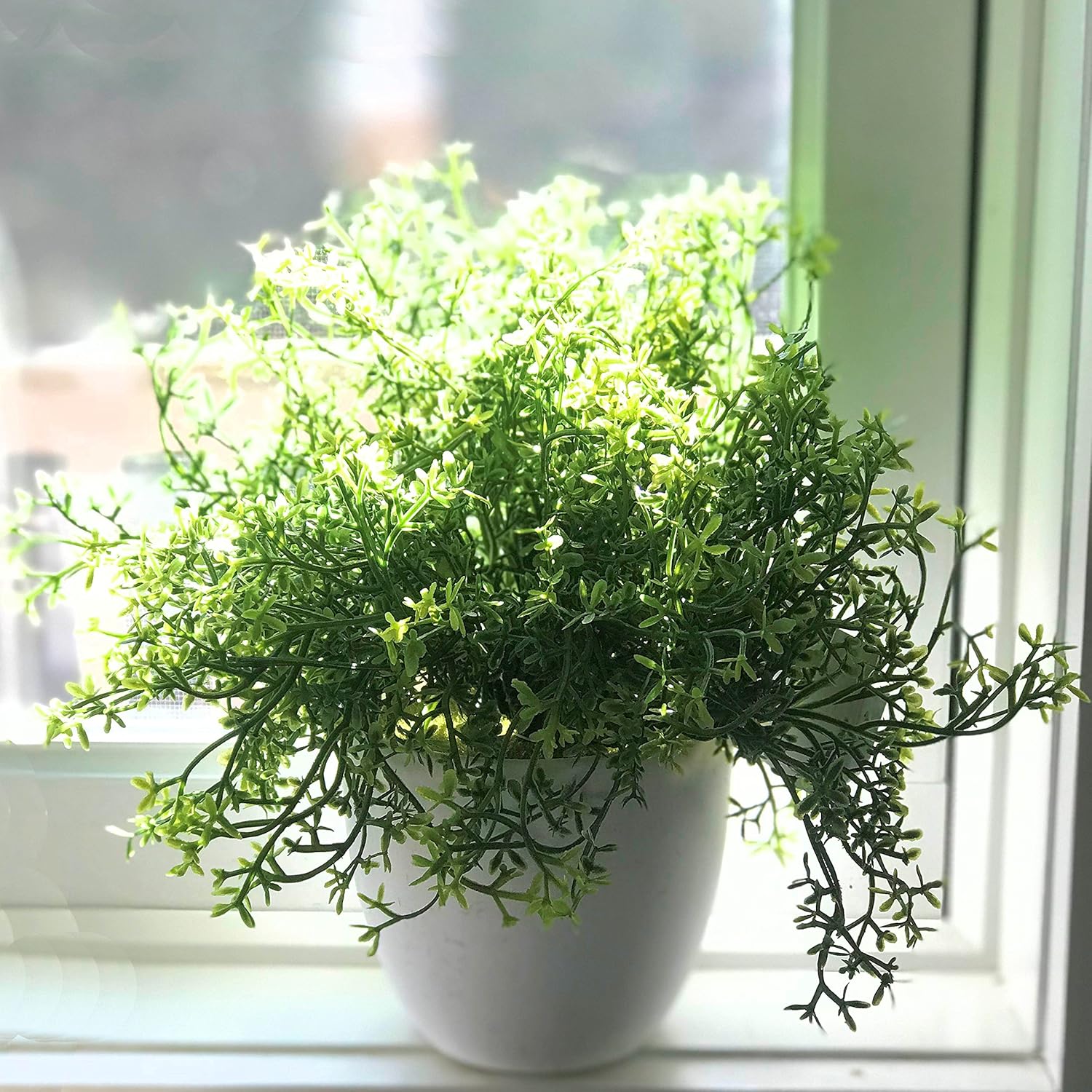 WHW Realistic Faux Baby Thyme Plant 6 x 975 Tall